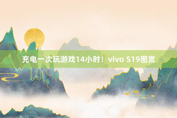 充电一次玩游戏14小时！vivo S19图赏