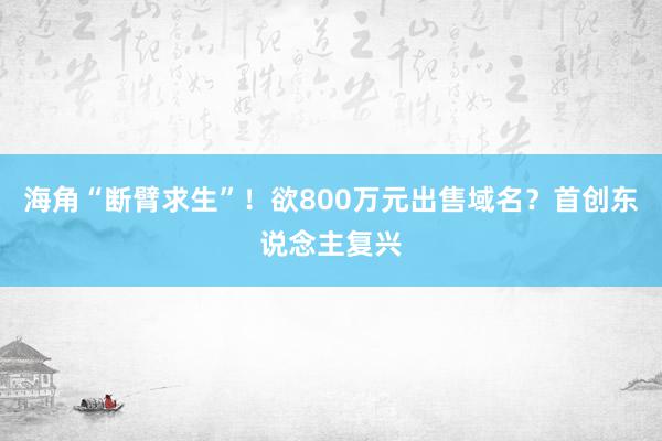 海角“断臂求生”！欲800万元出售域名？首创东说念主复兴