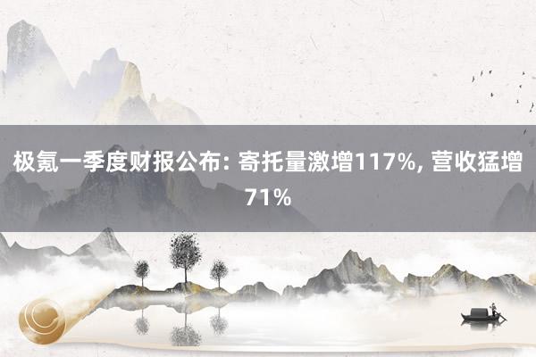 极氪一季度财报公布: 寄托量激增117%, 营收猛增71%