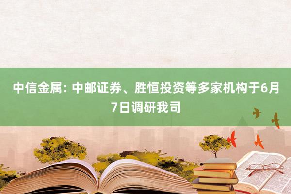 中信金属: 中邮证券、胜恒投资等多家机构于6月7日调研我司