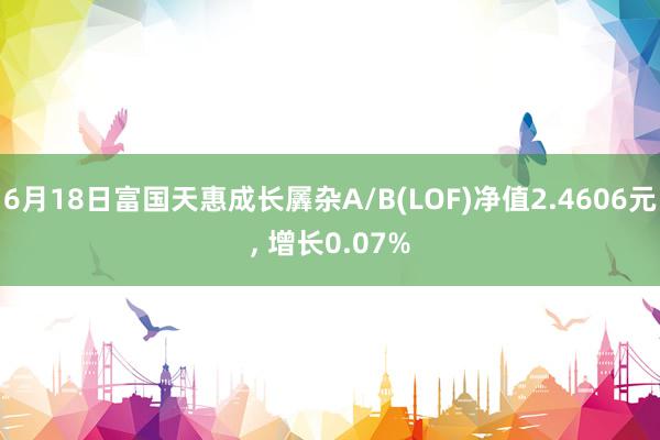 6月18日富国天惠成长羼杂A/B(LOF)净值2.4606元, 增长0.07%