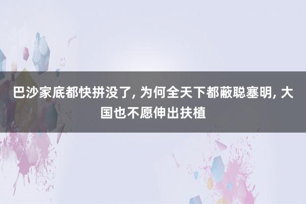 巴沙家底都快拼没了, 为何全天下都蔽聪塞明, 大国也不愿伸出扶植