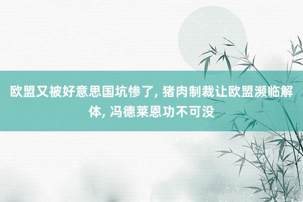 欧盟又被好意思国坑惨了, 猪肉制裁让欧盟濒临解体, 冯德莱恩功不可没