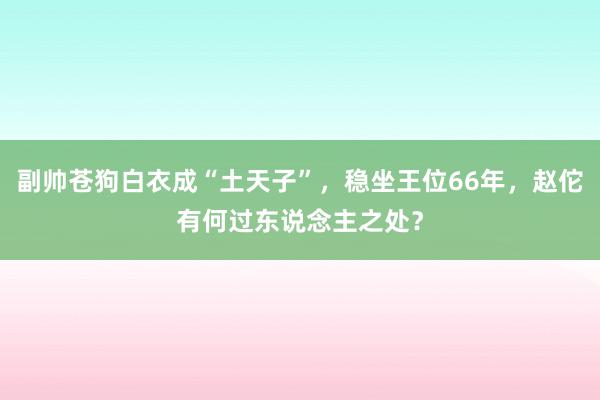 副帅苍狗白衣成“土天子”，稳坐王位66年，赵佗有何过东说念主之处？