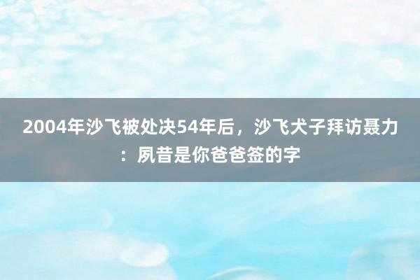 2004年沙飞被处决54年后，沙飞犬子拜访聂力：夙昔是你爸爸签的字