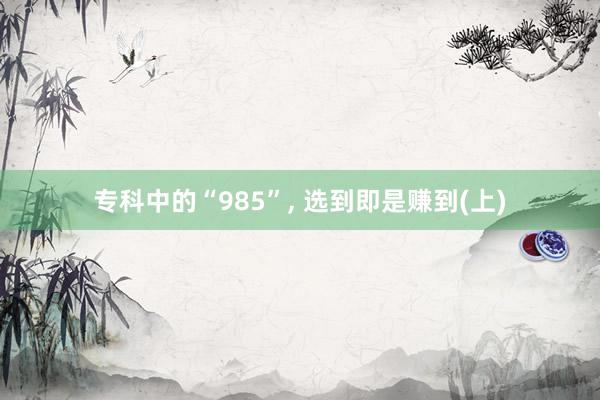 专科中的“985”, 选到即是赚到(上)