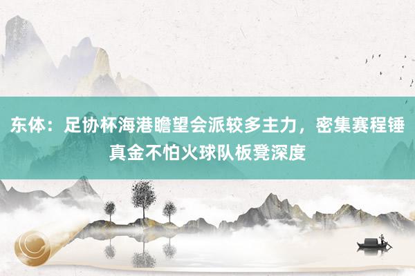 东体：足协杯海港瞻望会派较多主力，密集赛程锤真金不怕火球队板凳深度