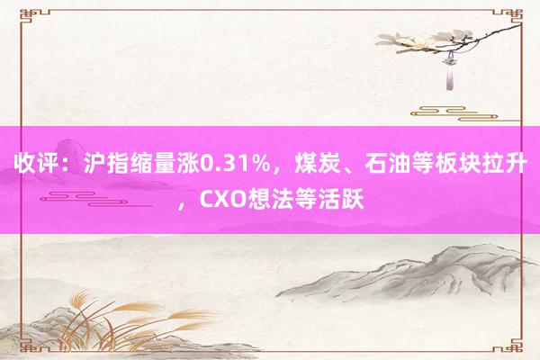 收评：沪指缩量涨0.31%，煤炭、石油等板块拉升，CXO想法等活跃