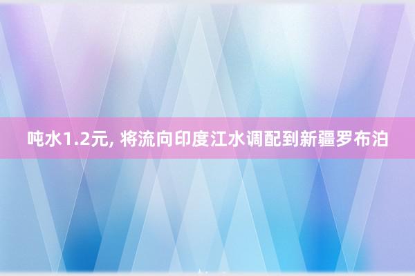 吨水1.2元, 将流向印度江水调配到新疆罗布泊