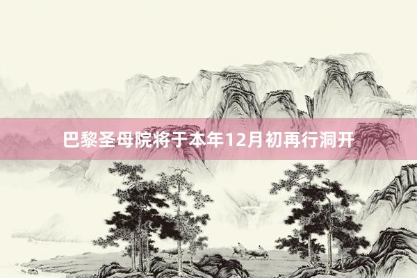 巴黎圣母院将于本年12月初再行洞开